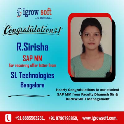 SAP Online Training with Placements