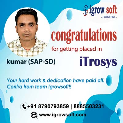 SAP course with placement