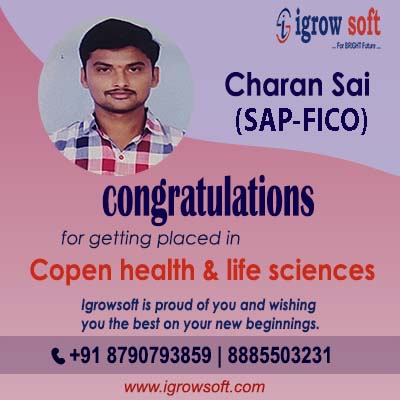 SAP FICO Online Training with Placements