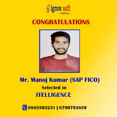 SAP FICO Online Training with Placements