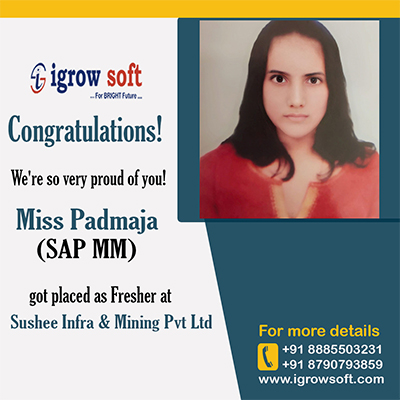 SAP MM Training in Hyderabad