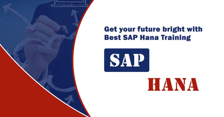 SAP Training Institute