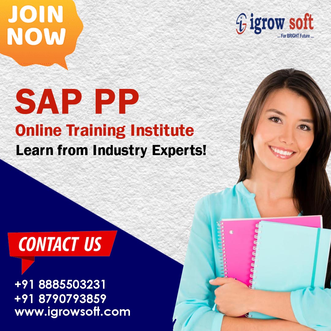 sap pp online course in hyderabad