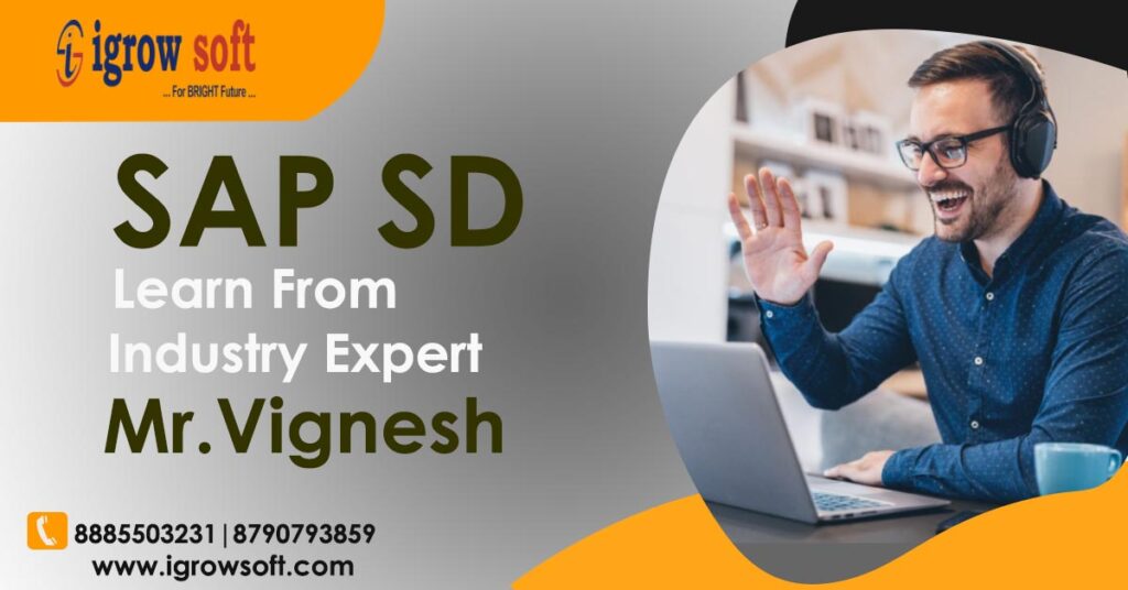sap sd online training in Hyderabad