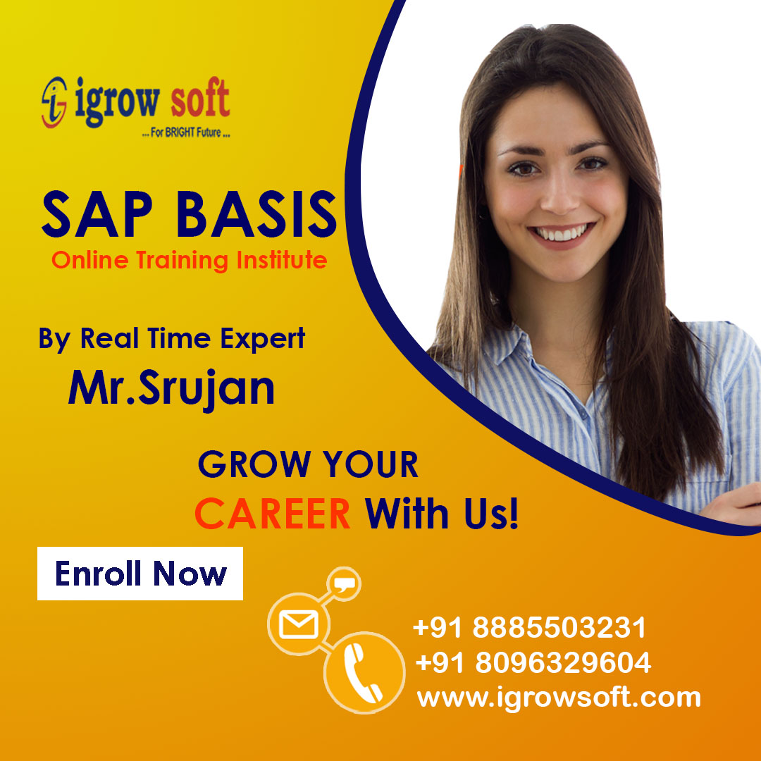 sap basis online training in Hyderabad