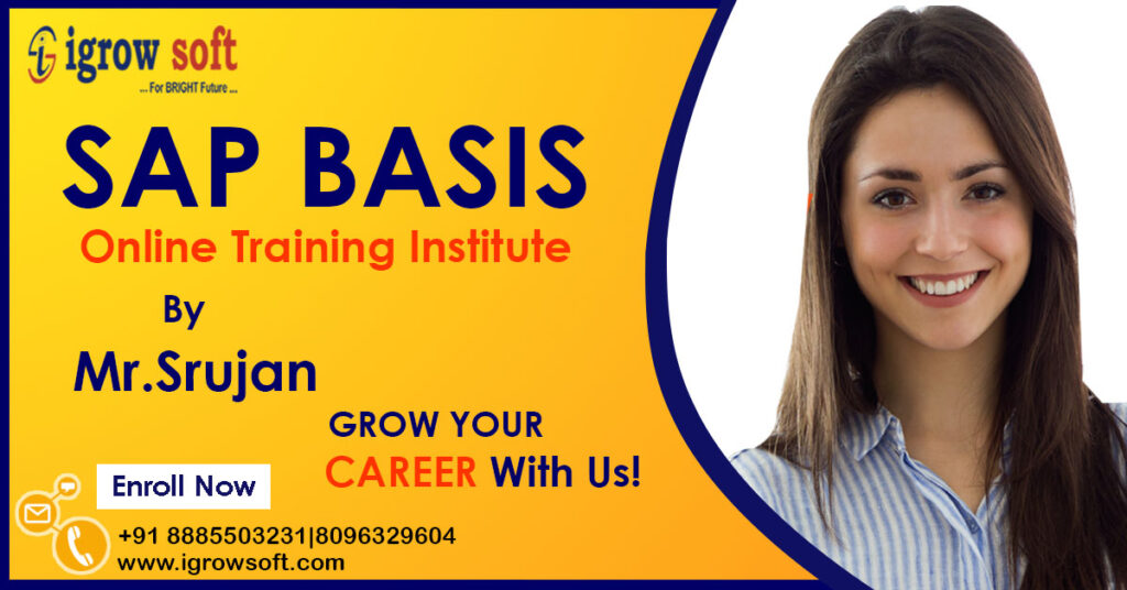 SAP Basis Online Training in Hyderabad