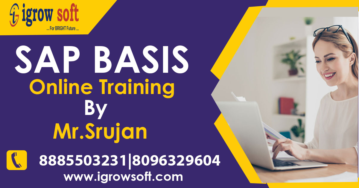 Best SAP BASIS Online Course Training Institute in Hyderabad