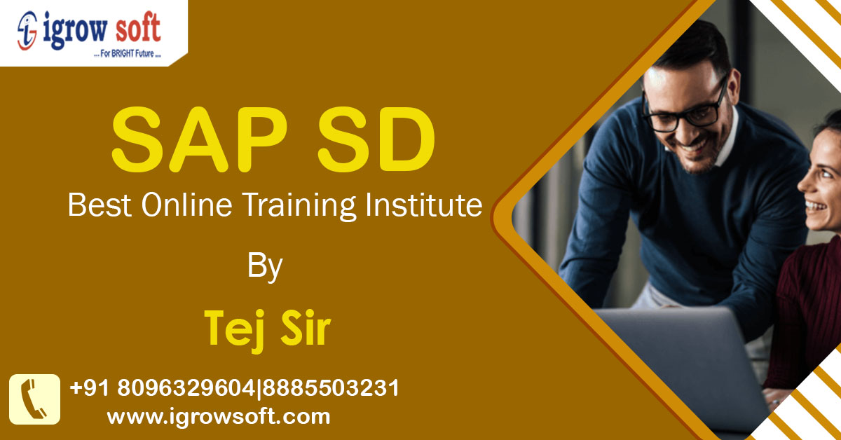 SAP SD Best Online Training Institute in USA Igrowsoft