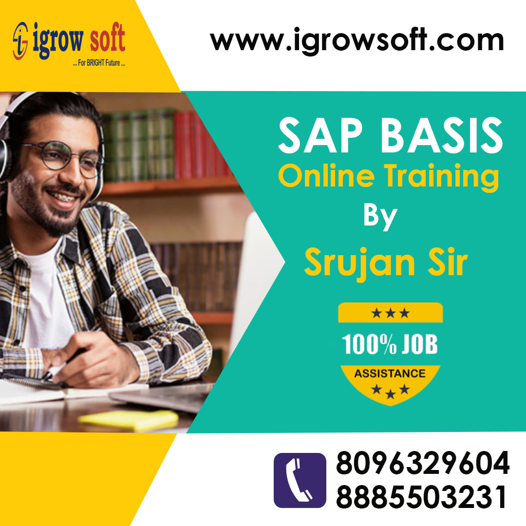 sap basis training in Ameerpet