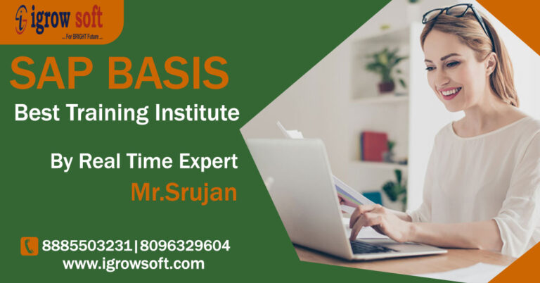 Best SAP BASIS Online Course Training Institute in Hyderabad