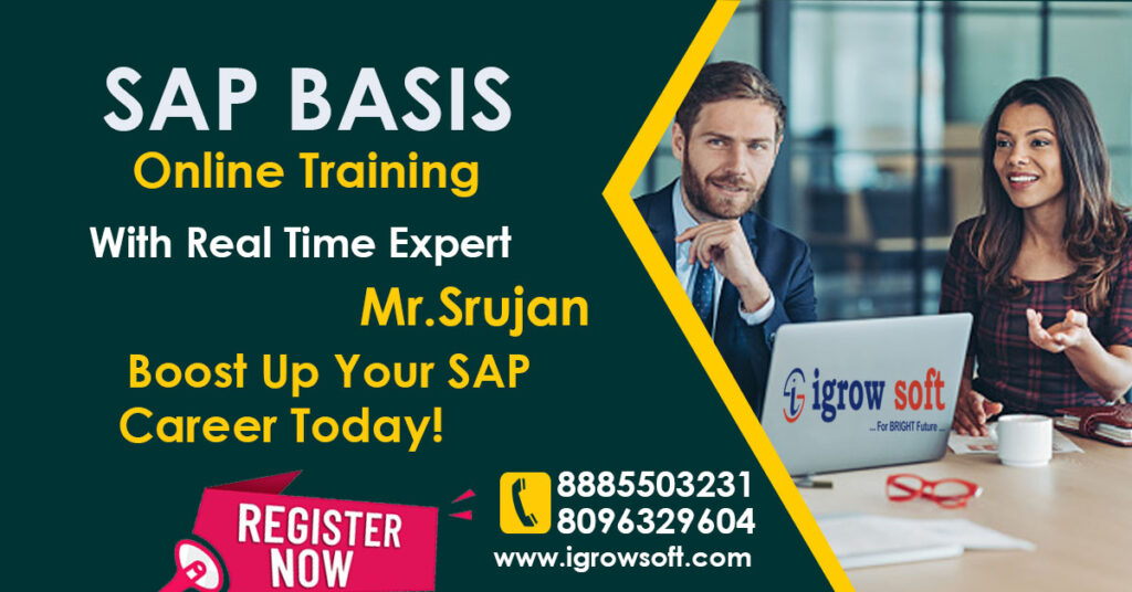 sap basis online training in Hyderabad
