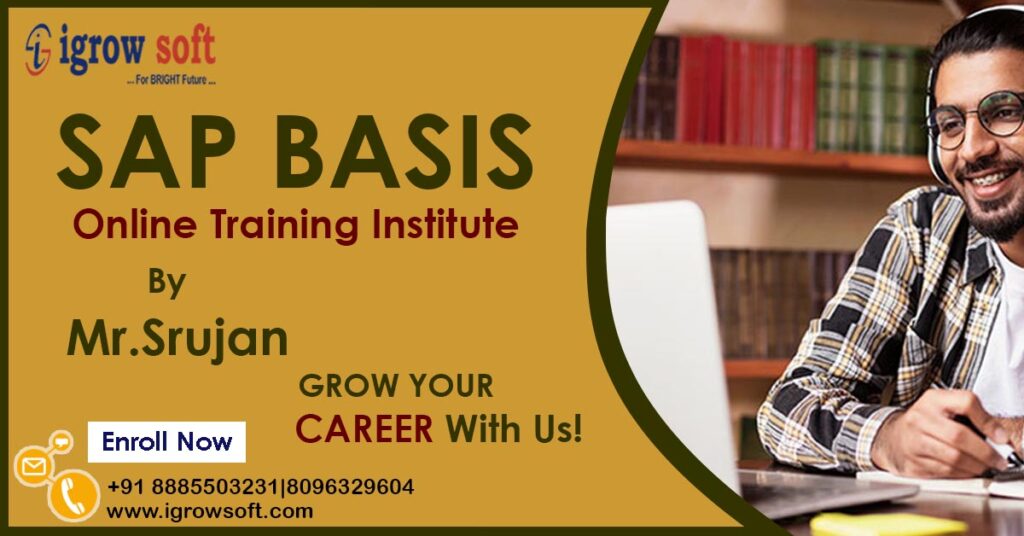 sap basis online training