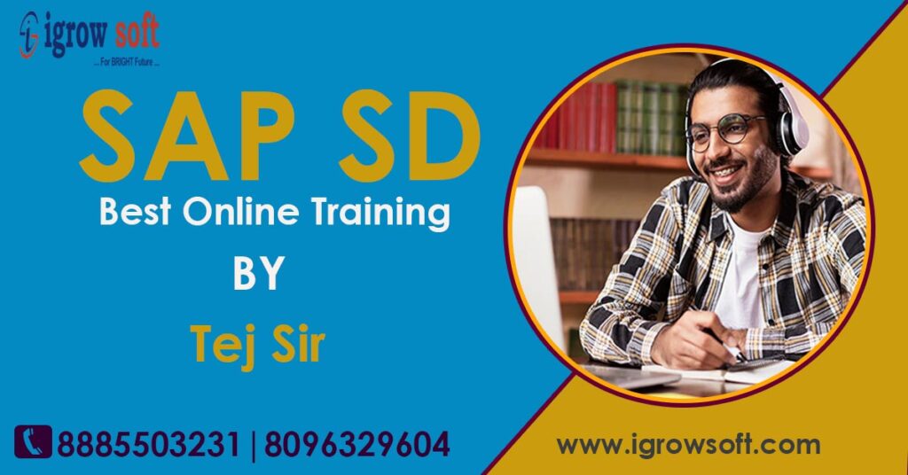 sap sd online training sap sd training